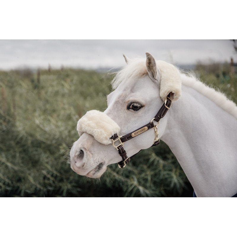 Kentucky - Licol cuir mouton poney/shettland